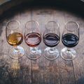 Vier Weine werden degustiert